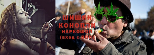 гидропоника Нязепетровск