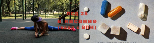 соль ск Няндома