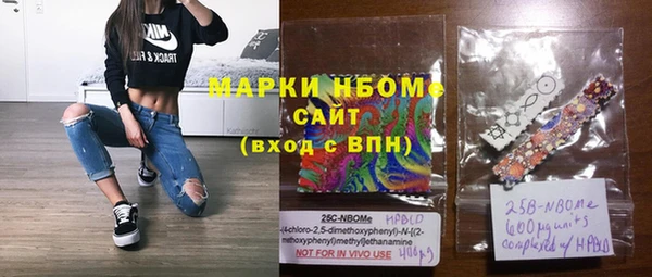 соль ск Няндома